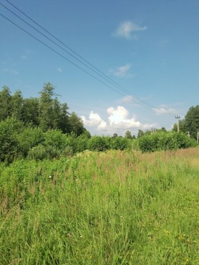 Жизнь на природе: как простота дарит настоящее счастье