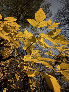 Жизнь в настоящем: как борьба с тревогами освобождает сознание