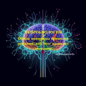 ��� ��� ���� ��������� �������: ������������ ��������� �������������