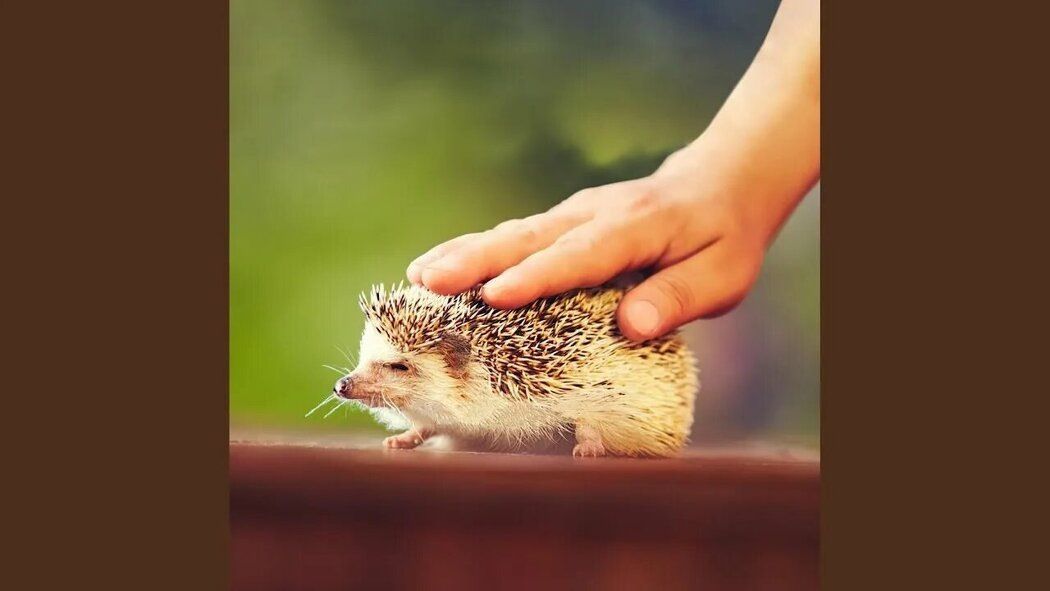 Как эго мешает нам открыться миру