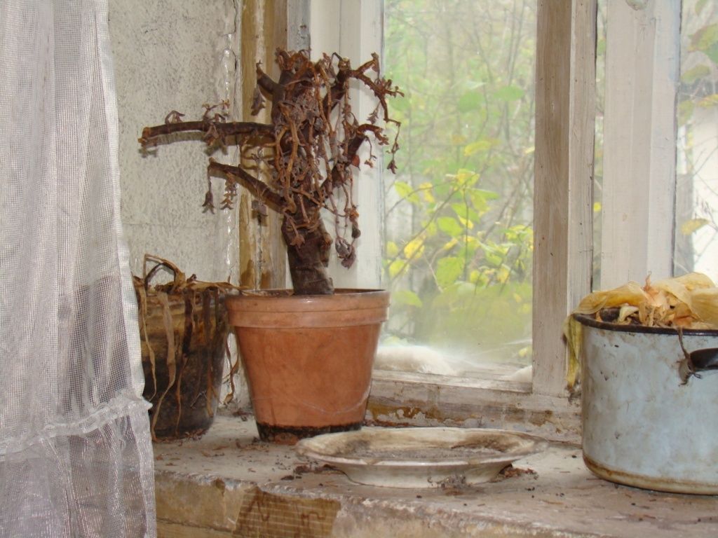 Почему старые вещи мешают счастью и как от них избавиться