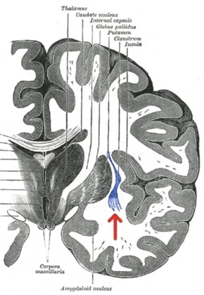 ���������: ���������� ��������� �����, ������������ ���� ����������