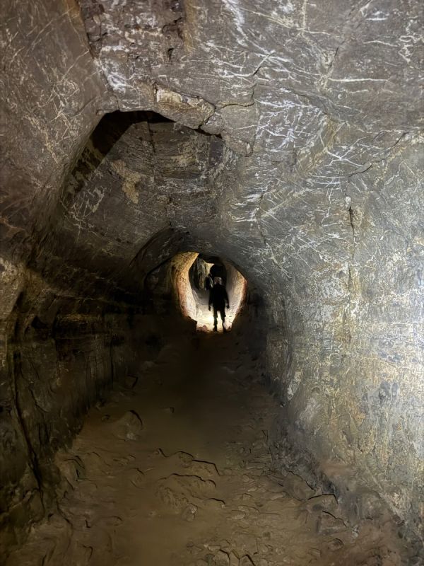 Почему социальное тревожное расстройство толкает нас в изоляцию?