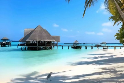 ������������ 14 �������: �������� ������������� �����������