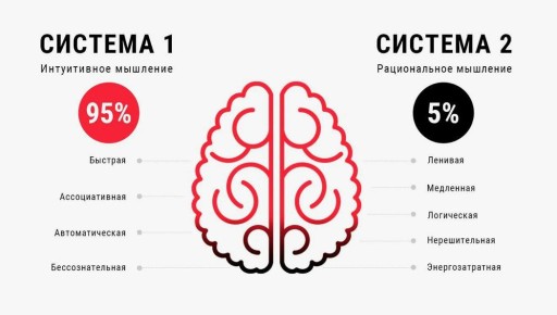Как язык влияет на наши отношения: строим мосты вместо стен