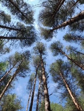 Танец на грани бездны: романтика и её магия