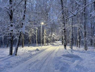 Осознанная ходьба: как сделать шаг к снижению стресса