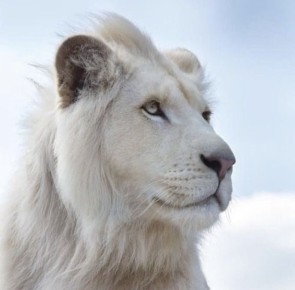 Обиды и чувства: как разобраться в своих эмоциях