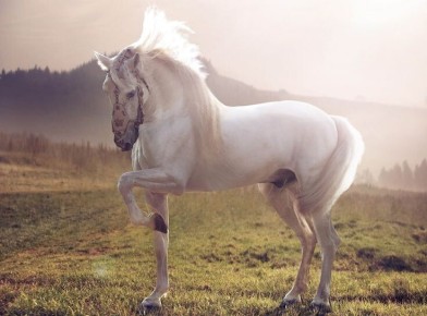 � ����� ������������� �������: ���������� �� ����� �����