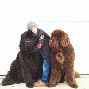 �������� ��������: ��� ������ � ����� ��������� �� �������� � ������