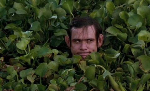 ����������� �����������: ��� ������� �� 50 ����� ���������� ������ ����� � �����