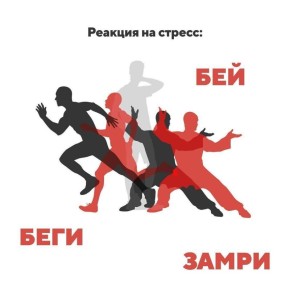 ������ ���������� � ������ ��������� �������