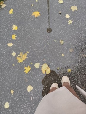 ����� ����������� ������������ � �������������