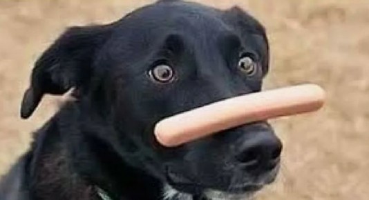 Как силу воли превратить в мощный инструмент