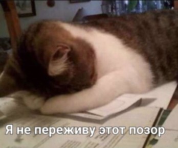 ��� ���������� ���� ������ ����?