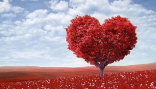 ��������� ���� ��� ��� ���� ����������: ��������� ����� ������ � ������