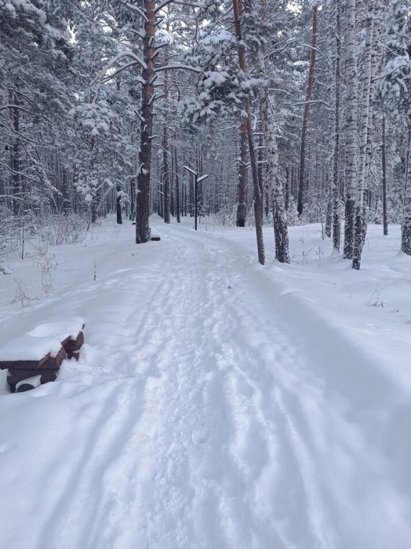 ��������� ��������: ��������� ����� � �������� ������