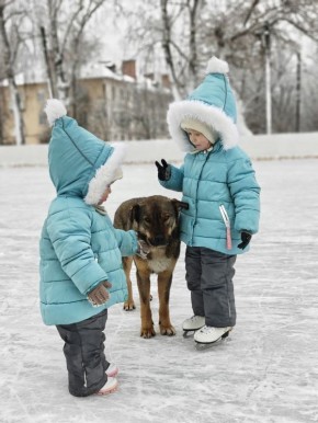 ��� ����� �� ������ ��������?