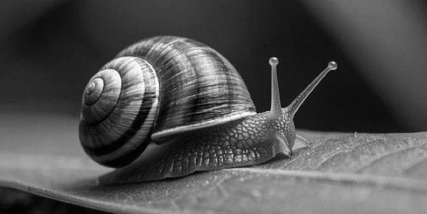 ��������� ��������: ������ ��� �� ������ �����