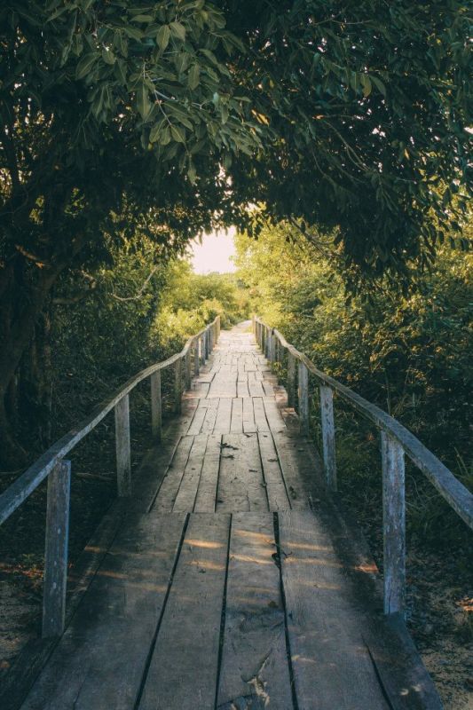 ������������ ��������: ��� ��������������������� ����� ���������� �����