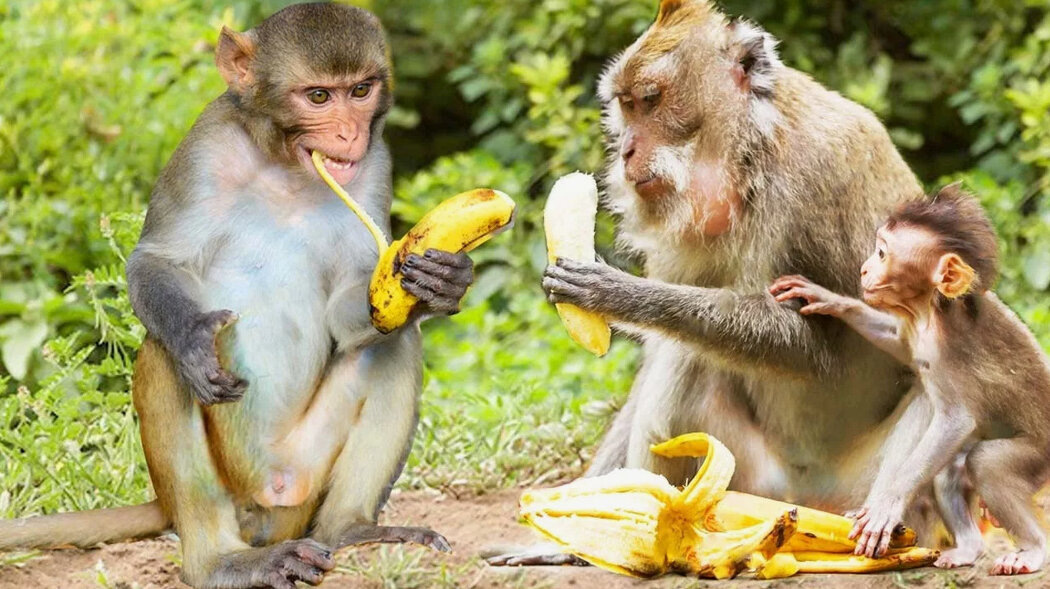 Желания как лестница к мечте: как найти свой путь