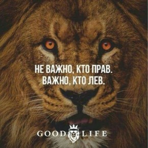 ����������� ������������� ��������: ��� ������������� �������� � ����������