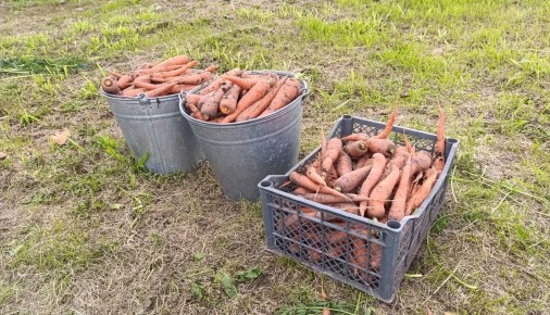 Мужская забота о здоровье: что стоит за привычками