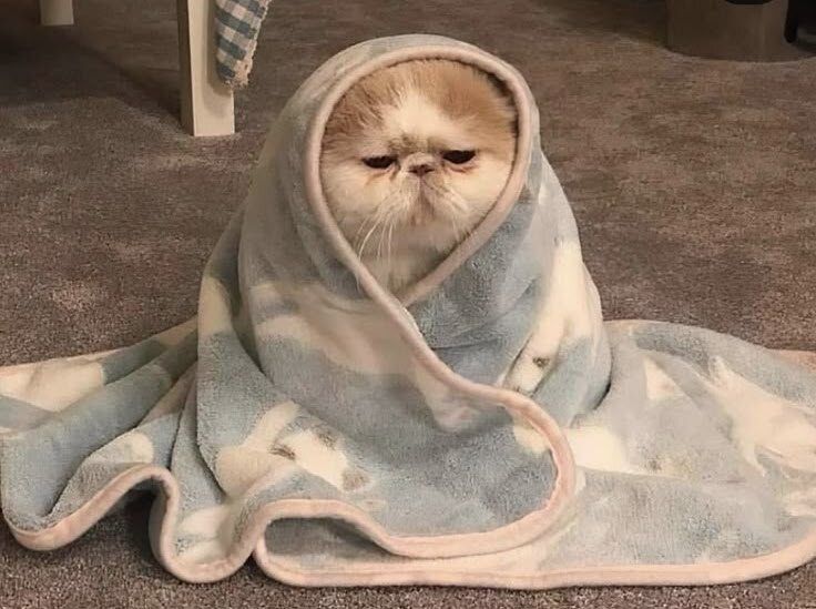 ������� ������� ������ ���������: ������ ����� �� ������ ��������