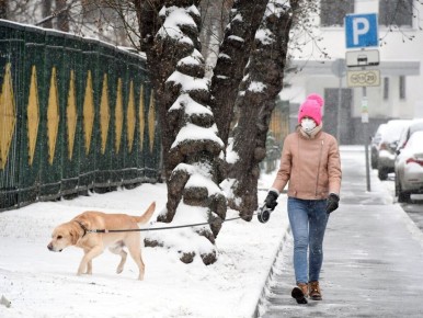 Как понять, что ваша собака скучает по вам