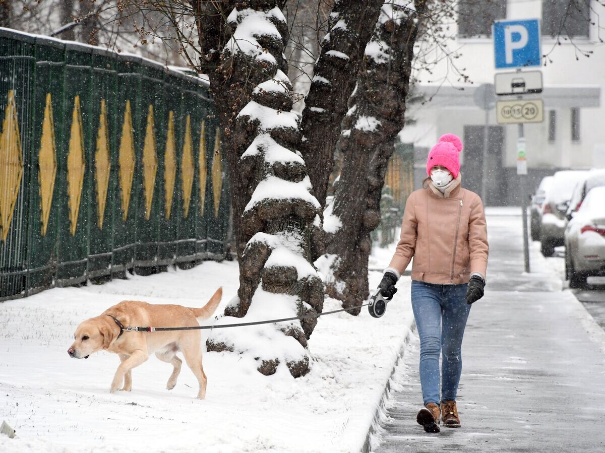 Как понять, что ваша собака скучает по вам