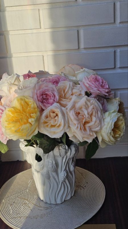 ��� �������� ���������� ��������� ����: ���������� ���� � ������������