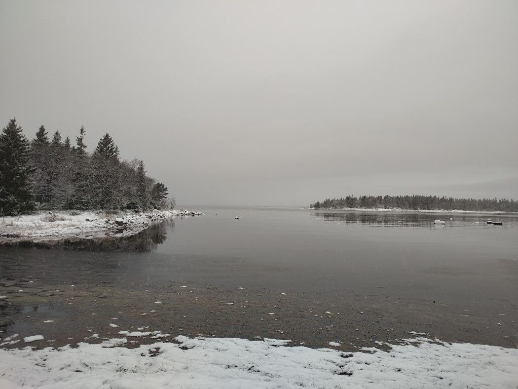 ��������� ���������: ��� ��������� ������� ����� �������� ���� �����