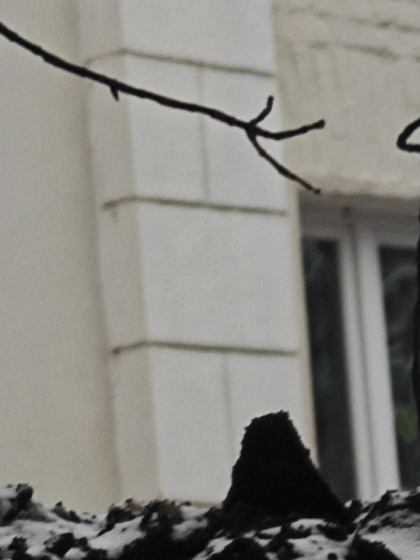 ������� ��������� � ������������ � ���������� ������