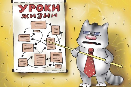Тайны успешных отношений: что можно почерпнуть из жизни котов