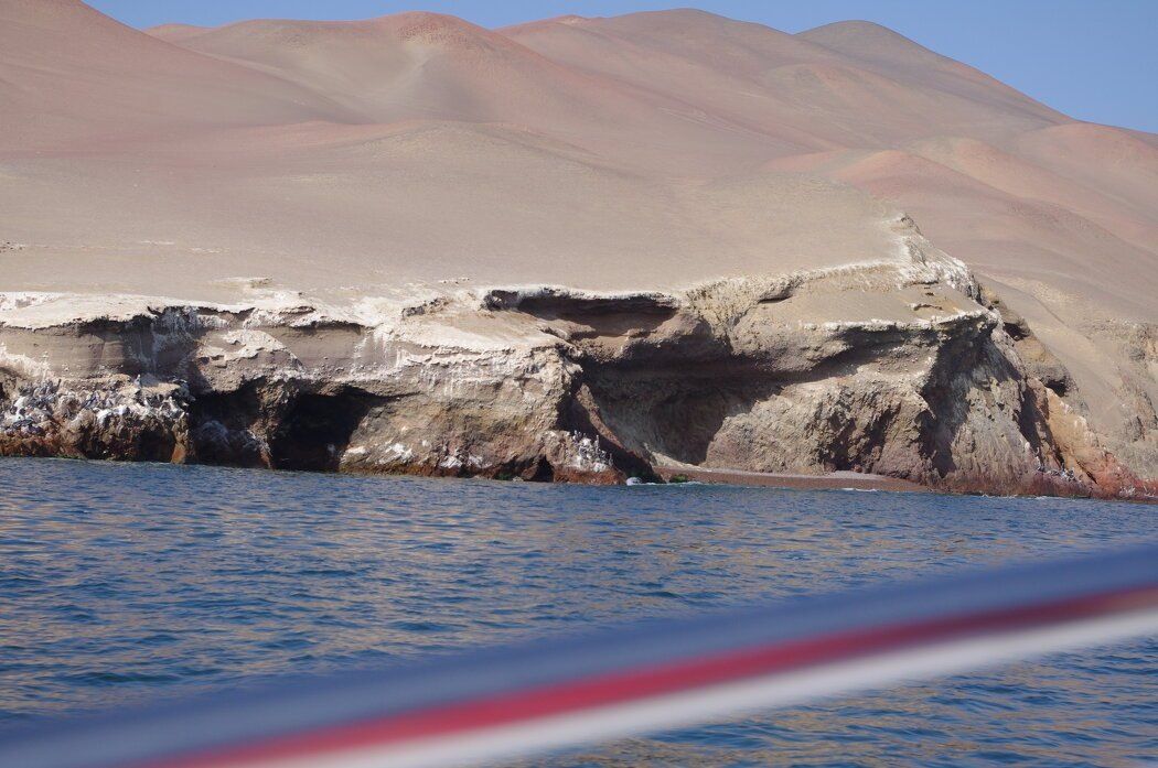 ��� ����������� ����� ��������� ����������� ���������