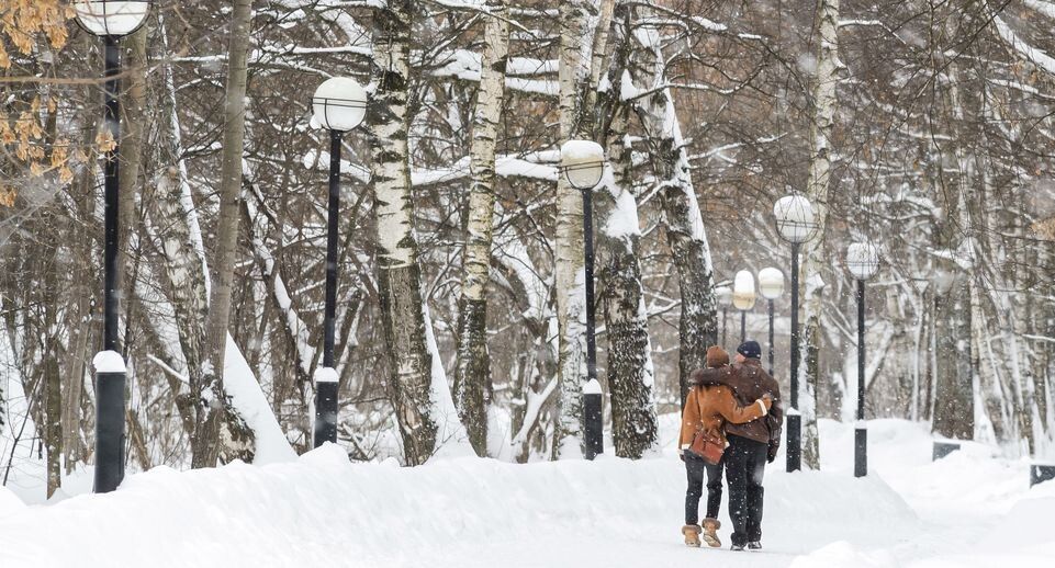 ����� �� ������: ��� ������ �������� � ���� ���� ����������