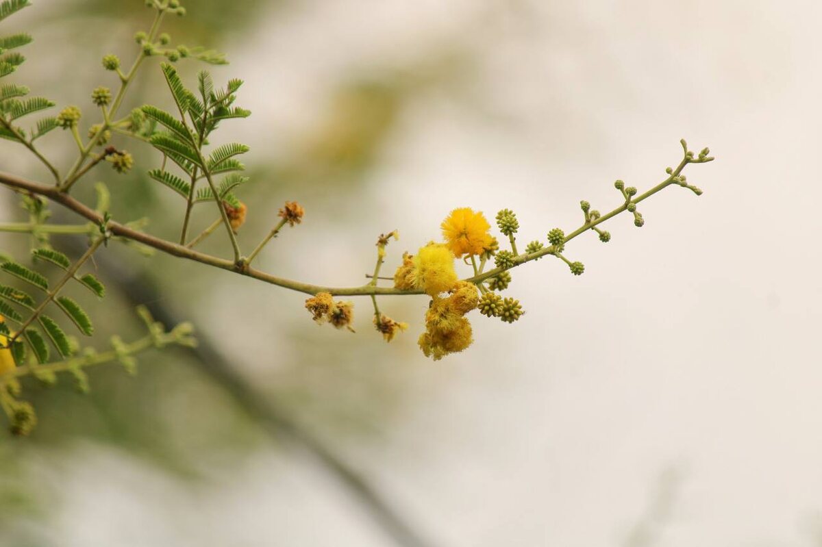 Сомнения в любви: как они мешают счастью в отношениях