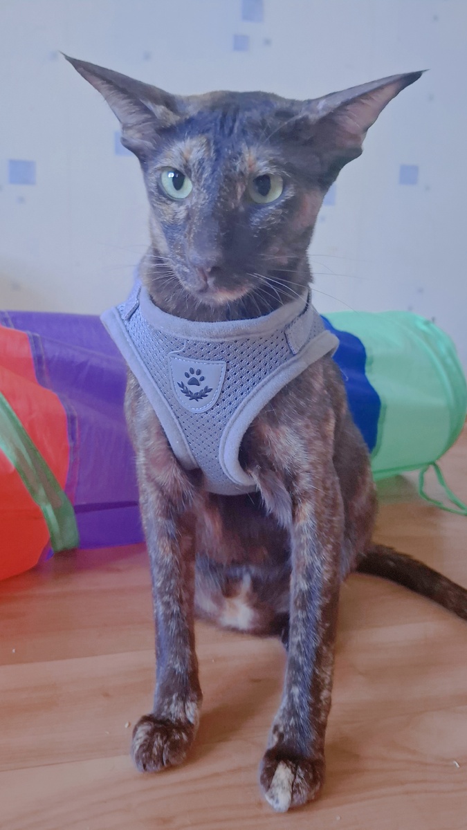 Откровения хостесс-персонала: как ежедневные встречи возвращают в детство