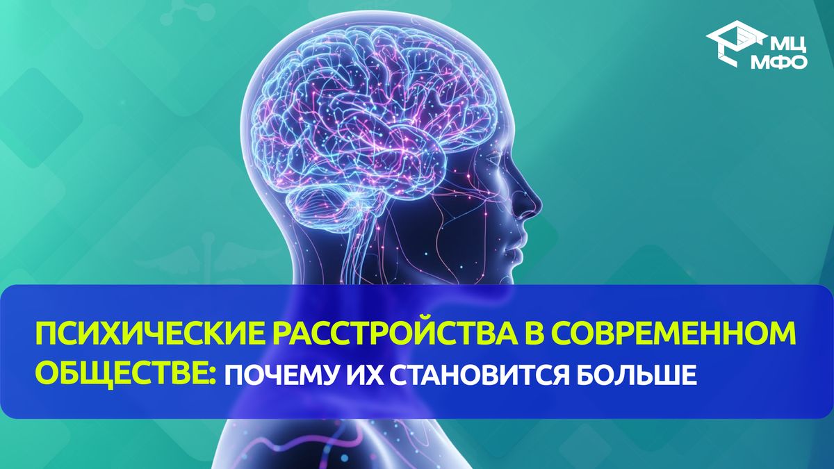 ����������� �������� � 2026 ����: ��� ����������� �������� ����������� � ��������� ��������