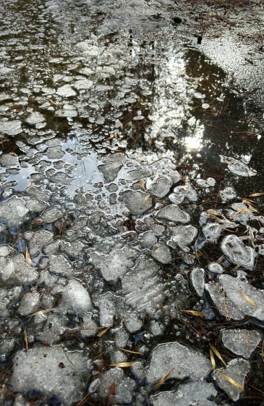 ������ �� ���� �������: ��� ���������� � �����������