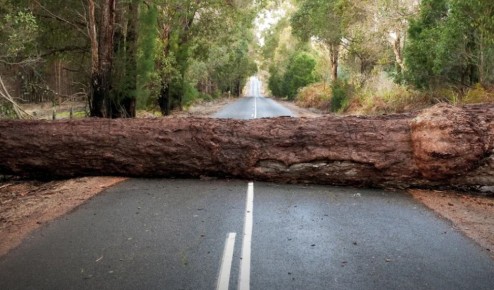 Почему возвращение к нарциссам может стать самой большой ошибкой вашей жизни