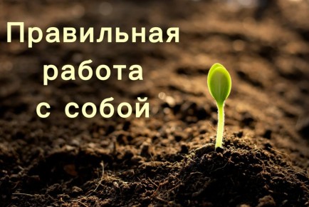 Как эффективно работать над собой для изменения жизни