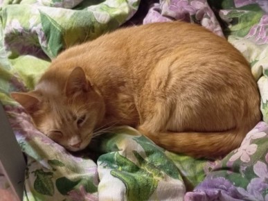 Психолог советует: отдых — это не роскошь, а необходимость