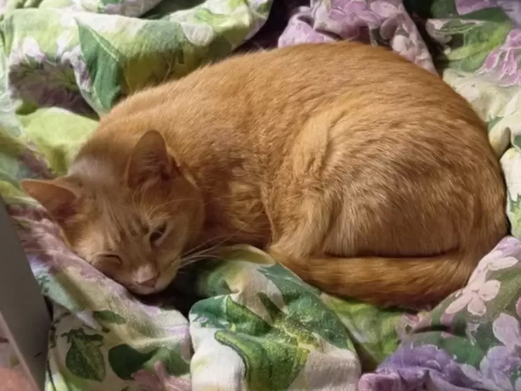 Психолог советует: отдых — это не роскошь, а необходимость