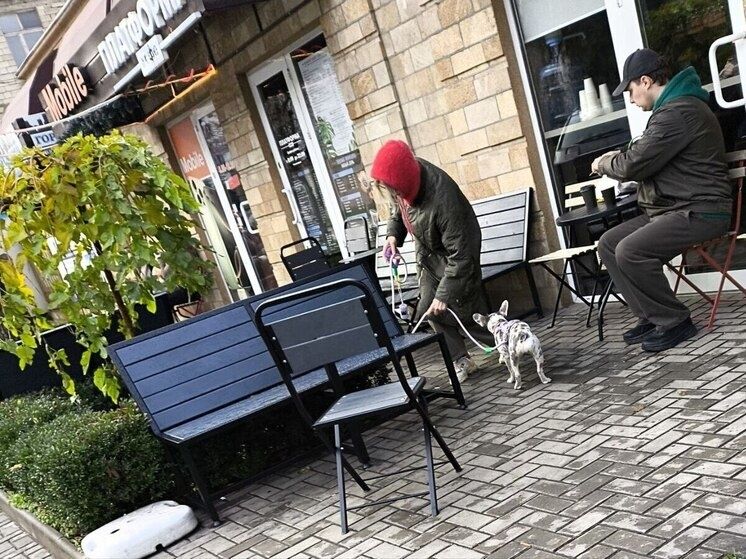 ��� ���������� �� ����������: ������ ��������� ��� �������