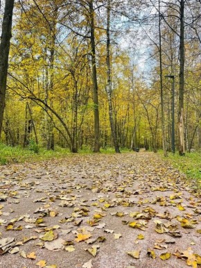 ��� ������������ � ������� ��������� ���� �