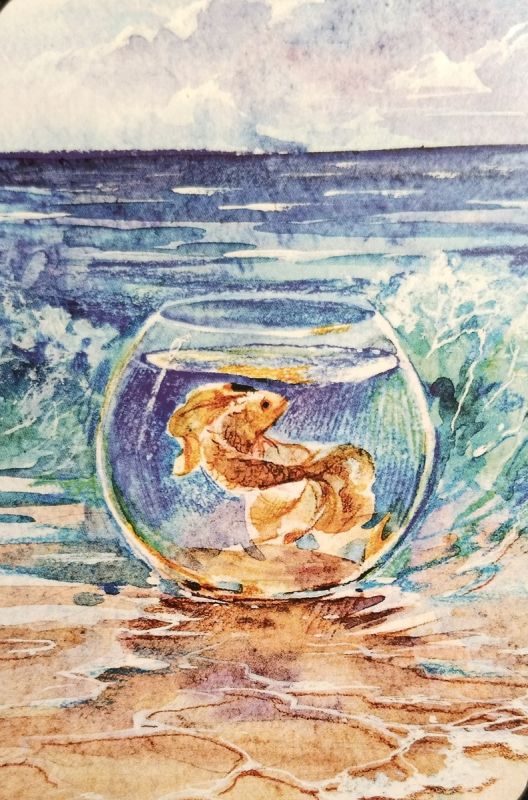 ��� �������� ������������� � ����������: �������� ������ � ������������