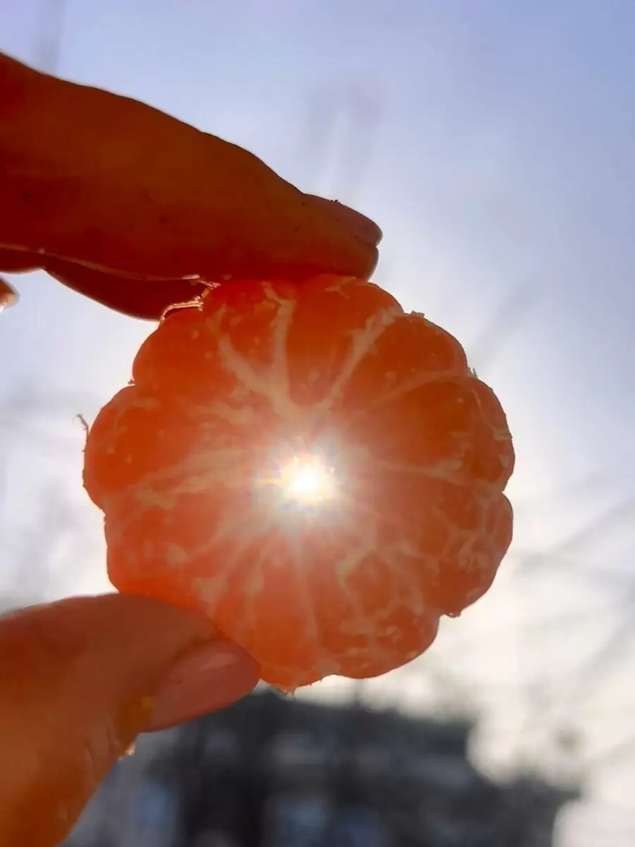 Секрет здоровых отношений: путь к любви через принятие себя