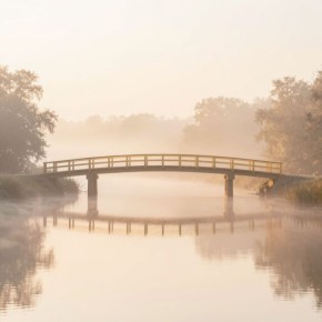 ������ ��������� ������ ����� ������ ���� ��������� ����� ���������