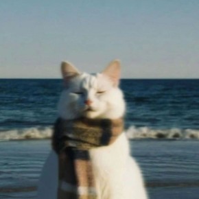 Как неуверенность в себе формируется с детства